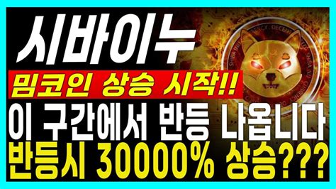 시바이누코인 전망 밈코인 상승 시작 시바이누 이 구간에서 정확히 반등 나옵니다 반등시 300배 상승 이미 200배