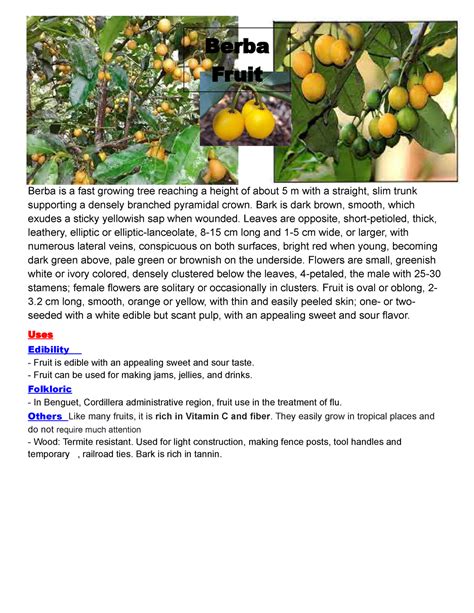 Berba fruit - Mathematical language is a system used in the field of ...