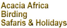 Acacia Africa Birding Safaris Holidays BIRD WATCHING TOURS TRIPS IN