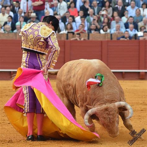 Imagen De Pen Hale En Toreo Toros Carteles Etc En Toros De