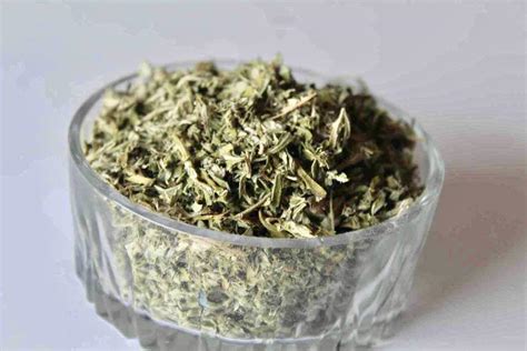 Buy Dried Mugwort Leaves Bloomybliss