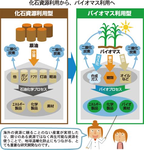 石油から「バイオマス」へ バイオリファイナリー バイオ産業利用コース みんなのバイオ学園