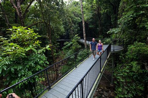 Cairns Aboriginal Cultural Tour Daintree Rainforest Tours Mossman Gorge