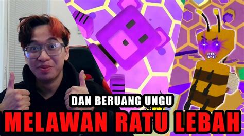 Melawan Ratu Lebah Super Bear Adventure Captainivan Live YouTube