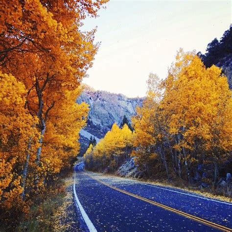 20 Ideas For The Perfect Romantic Fall Getaway Fall Road Trip Fall Getaways Trip