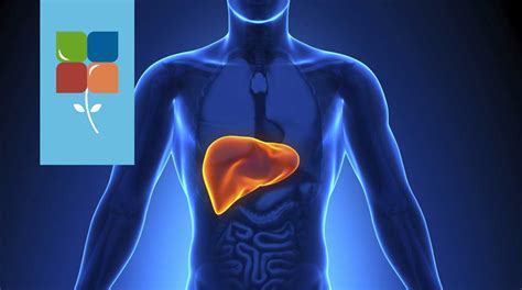 Liver Toxicity Medinformer Healthcare