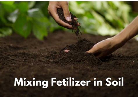 Mixing Fertilizer In Soil The Pros And Cons Explained Flourishing Plants