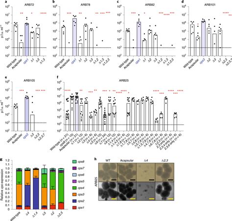 Infection Of Various Cps Mutant Strains By Branch 2 And 3 Phages Ae