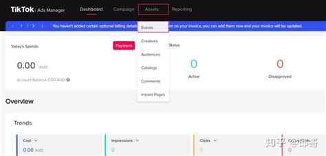 如何在 Wordpress 中正确设置 Tiktok 广告像素 知乎