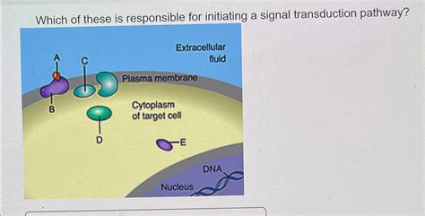 Solved Which of these is responsible for initiating a signal | Chegg.com