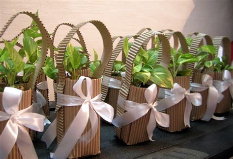 Gift a Plant – DIY Green Gifting Tutorial for Eco Friendly Party Favors ...