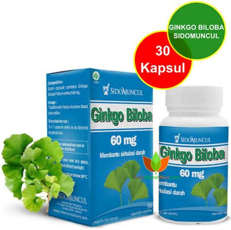 GINKGO BILOBA SIDOMUNCUL 30 KAPSUL OBAT GINKO GILOBA SUPLEMEN HERBAL