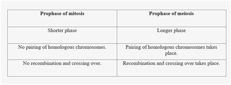 Write the Difference between1. Prophase of mitosis & prophase of meiosis.