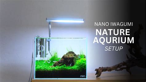 ADA Nano Aquarium Lava Stone Iwagumi Aquascape Setup YouTube