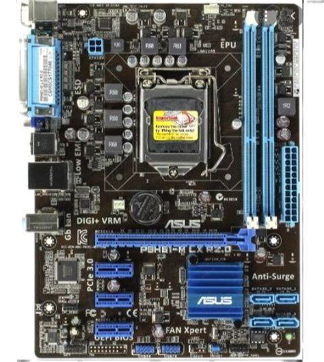 Mainboard Asus P H M Lx R Socket Ddr Vga