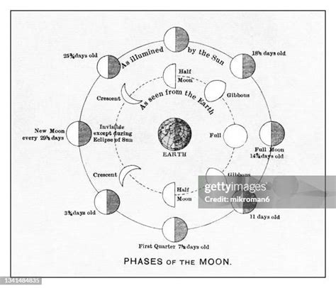 Moon Phases Diagram Photos and Premium High Res Pictures - Getty Images