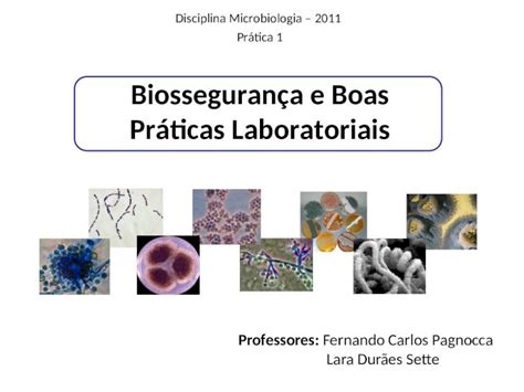 Ppt Biosseguran A E Boas Pr Ticas Laboratoriais Professores Fernando