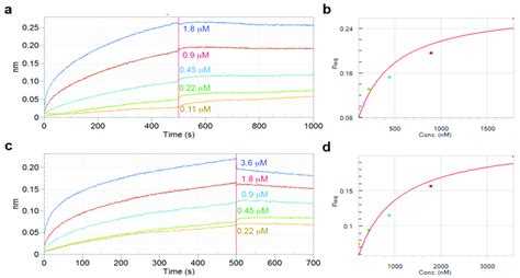 Real Time Biolayer Interferometry Sensorgrams For Determination Of