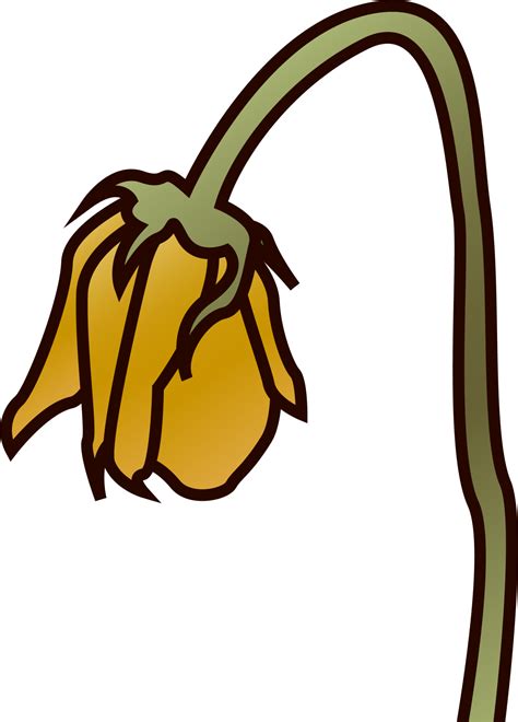 Wilted Flower Emoji Iphone Best Flower Site