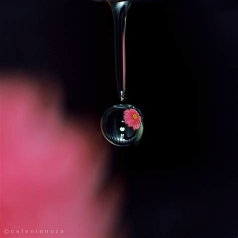 Split Second Water Drop Refraction Photography :: Behance