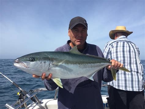 Tuna Fishing Charters SHARKMEN FISHING CHARTERS