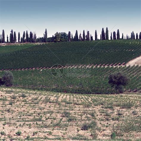 Chianti