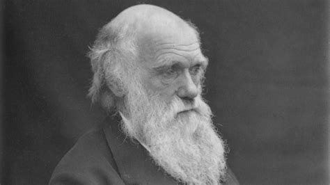 What Killed Charles Darwin? - History in the Headlines