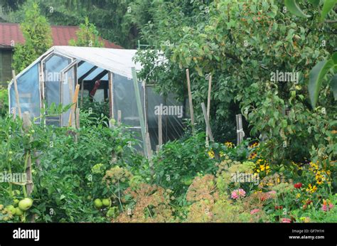 small cottage garden in summer Stock Photo - Alamy