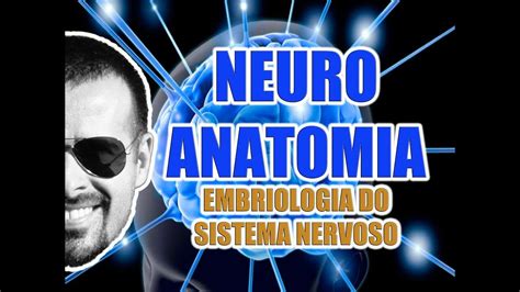 Embriologia Do Sistema Nervoso Central E Perif Rico Neuroanatomia