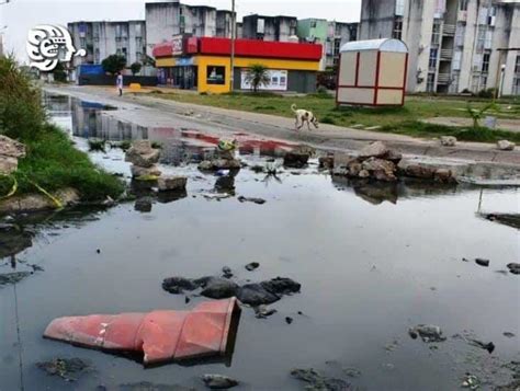 Viven Entre Aguas Negras En Colonia De Coatzacoalcos