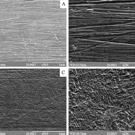 The Surface Morphology Of The Ti6Al4V Substrates A B Before