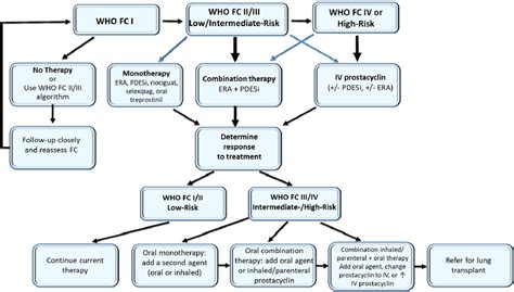 Algorithm For Initiating And Adjusting Pah Therapy Assess Functional Download Scientific