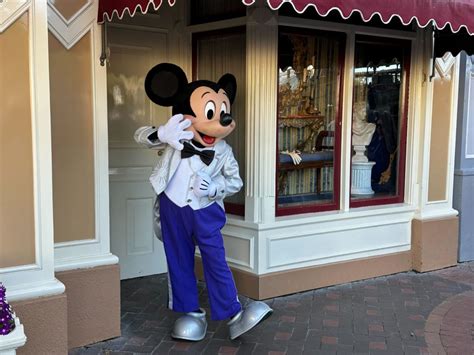 Mickey And Minnie Disneyland