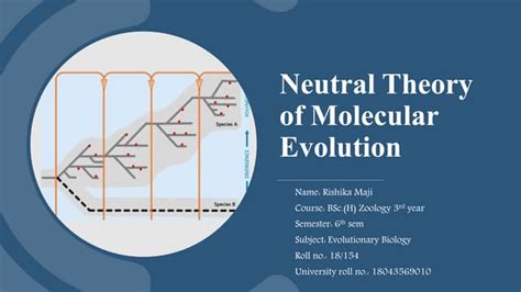 Neutral theory of molecular evolution | PPT