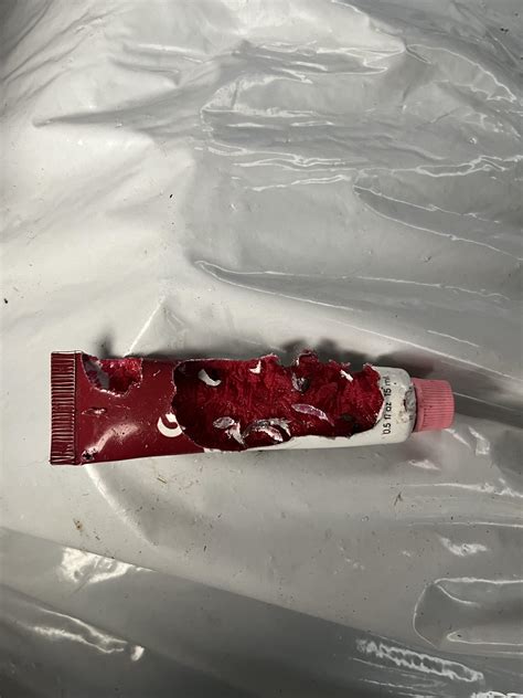 mice found my og cherry bdc:( : r/glossier