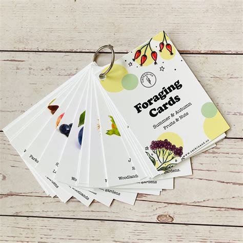 Foraging Flashcards With Keyring Catkin Co