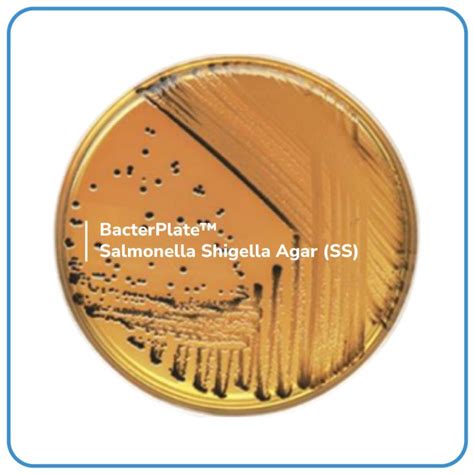 Bacterplate™ Salmonella Shigella Agar Ss Labone Scientific Coltd