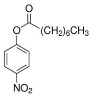 酪酸4 ニトロフェニル 98 Sigma Aldrich