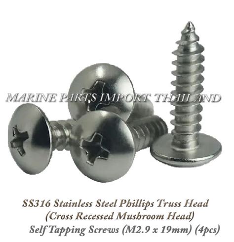 Mmss Stainless Steel Phillips Truss Head Cross Recessed Mushroom