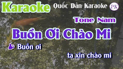 Karaoke Buồn Ơi Chào Mi Bossa Nova Tone Nam D Tp 95 Quốc Dân