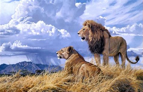 Lion Couple Wallpaper