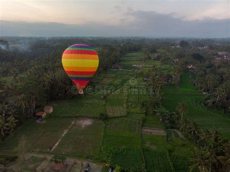 Hot Air Balloon Over Palm Trees Stock Photos Free Royalty Free