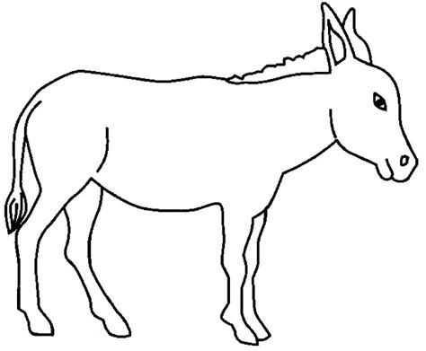 Dibujos De BURROS Para Colorear Y Pintar