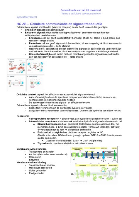 CM Thema 5 Aantekeningen Colleges Thema 5 Cellulaire Communicatie En