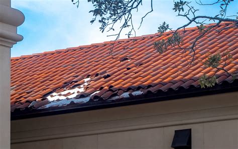 Faulty Roofs 101 Which Warning Signs Should You Lookout For