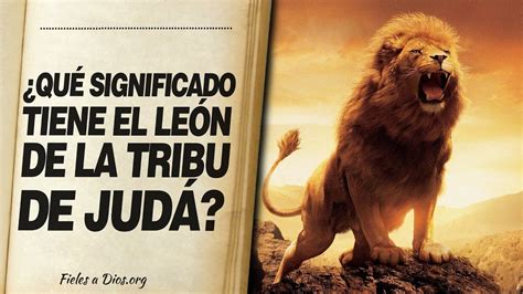 🙏 ¿qué Significado Tiene El LeÓn De La Tribu De JudÁ 📖 Youtube