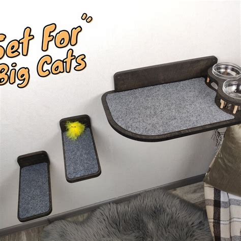 dog proof cat feeding station etsy