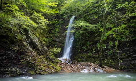 Caney Creek Wilderness