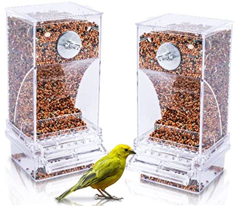 Best Bird Cage Feeder For A Mess-Free Home