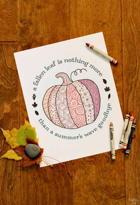 Pumpkin Coloring Page Printable - Finding Zest